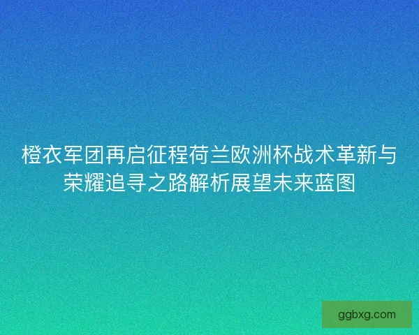 橙衣军团再启征程荷兰欧洲杯战术革新与荣耀追寻之路解析展望未来蓝图